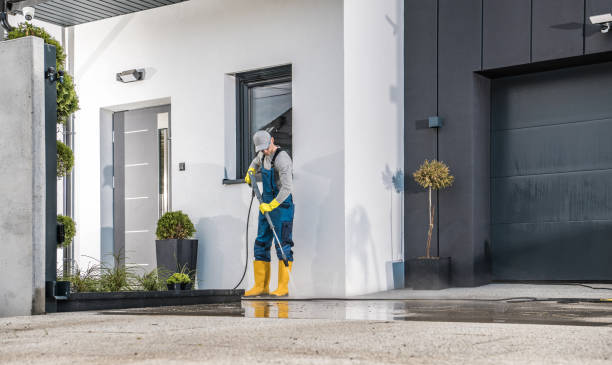 Best Driveway Cleaning and Restoration in Nashotah, WI